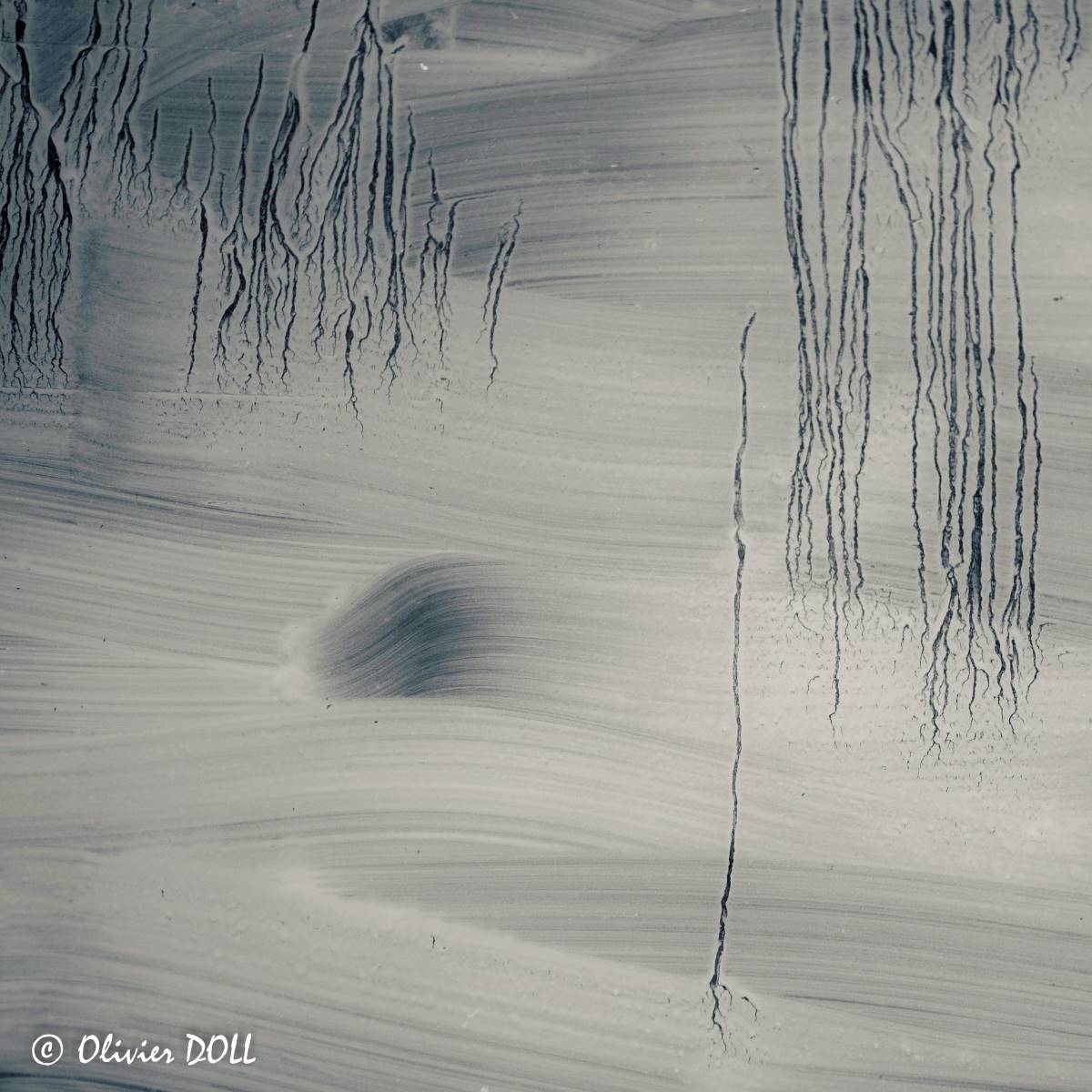 Illustration Olivier DOLL 1542