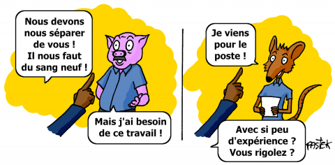 img7 trop vieux trop jeune