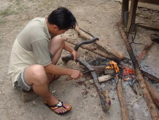 Laos serpent grillé